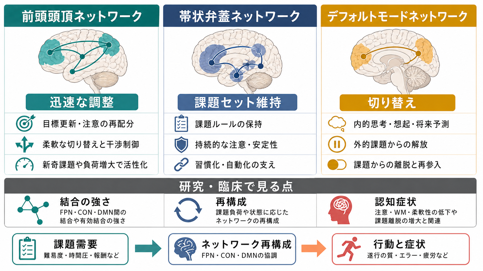 前頭頭頂ネットワークと他の大規模ネットワークの関係