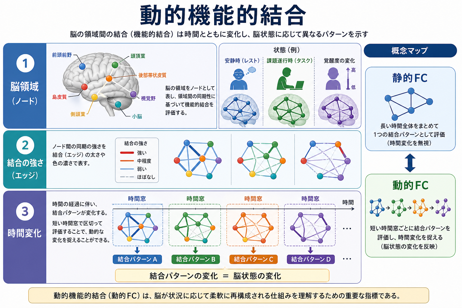 動的機能的結合の概念地図