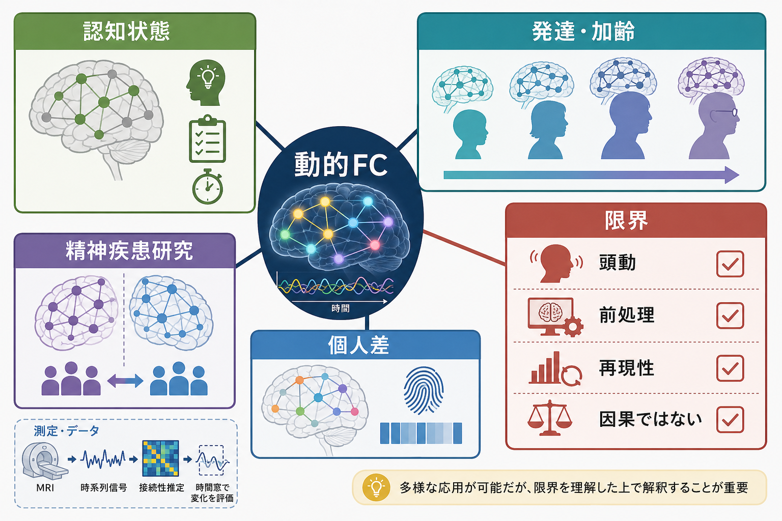 動的機能的結合の研究応用と限界