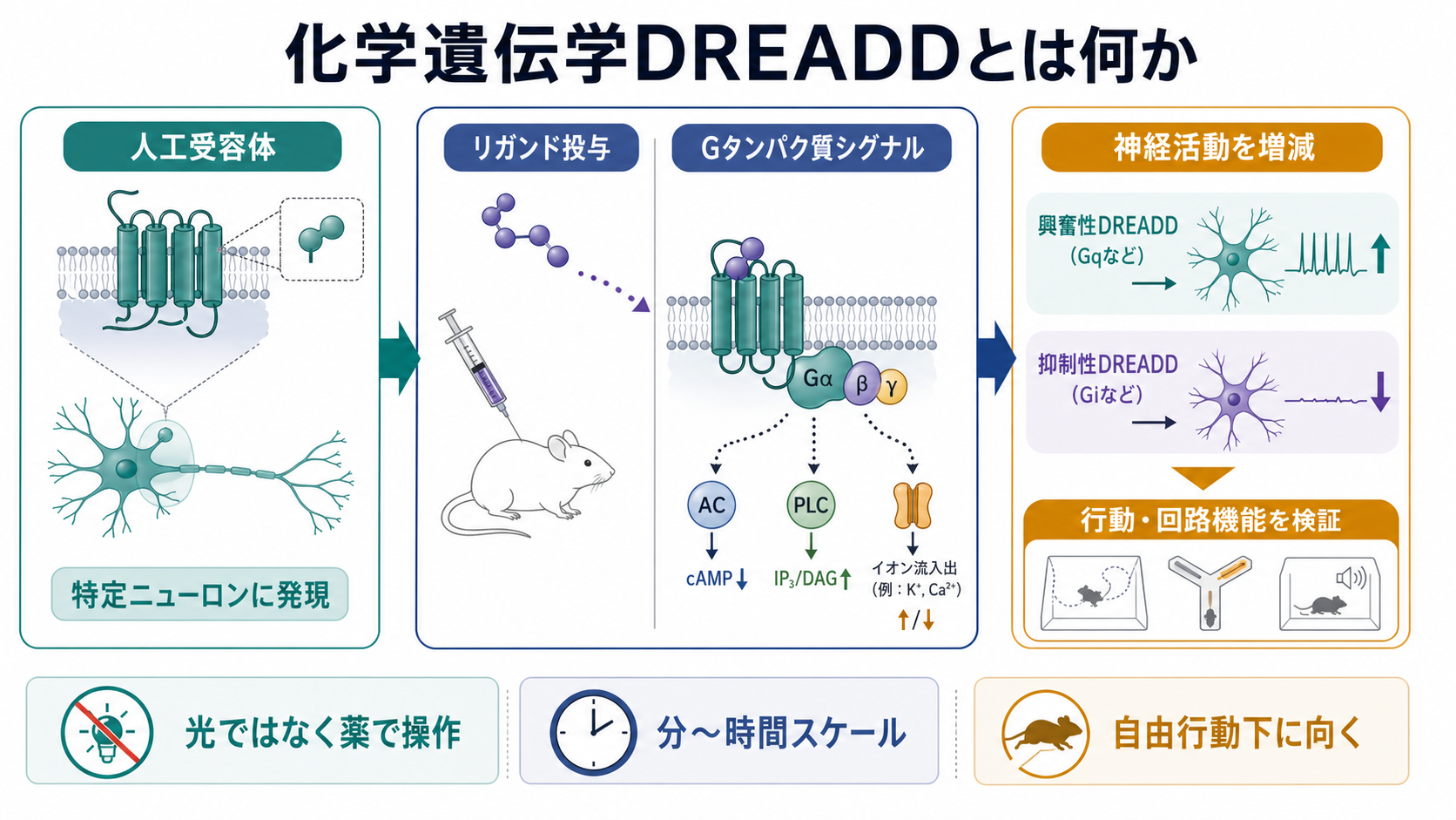 DREADDの概念地図