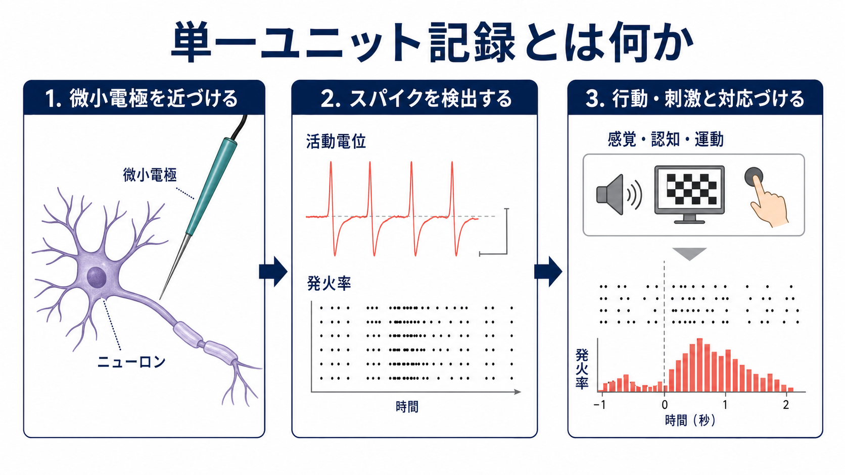 単一ユニット記録の概念地図