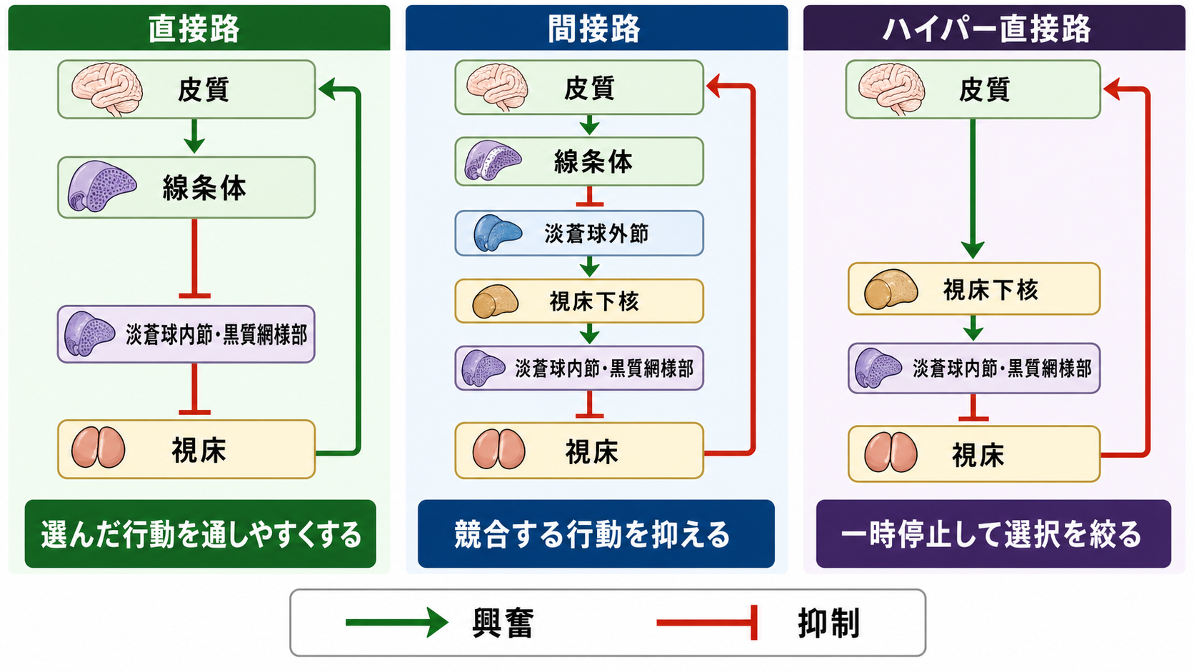 直接路・間接路・ハイパー直接路の模式図