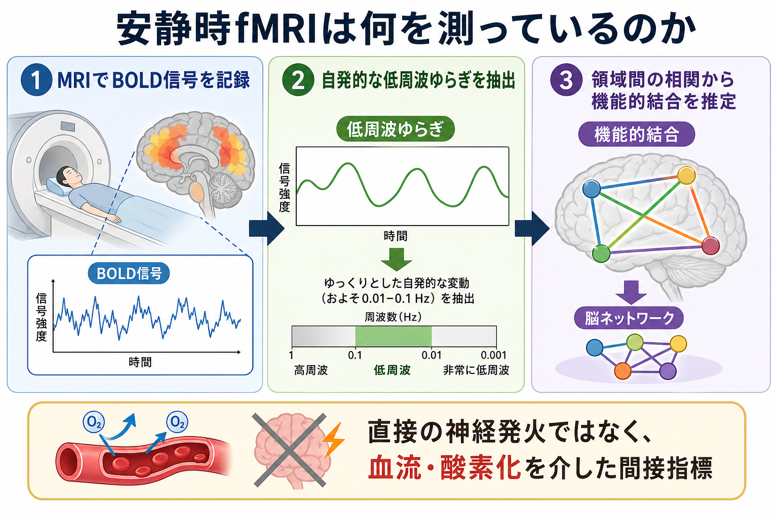 安静時fMRIでBOLD信号から機能的結合を推定する流れ