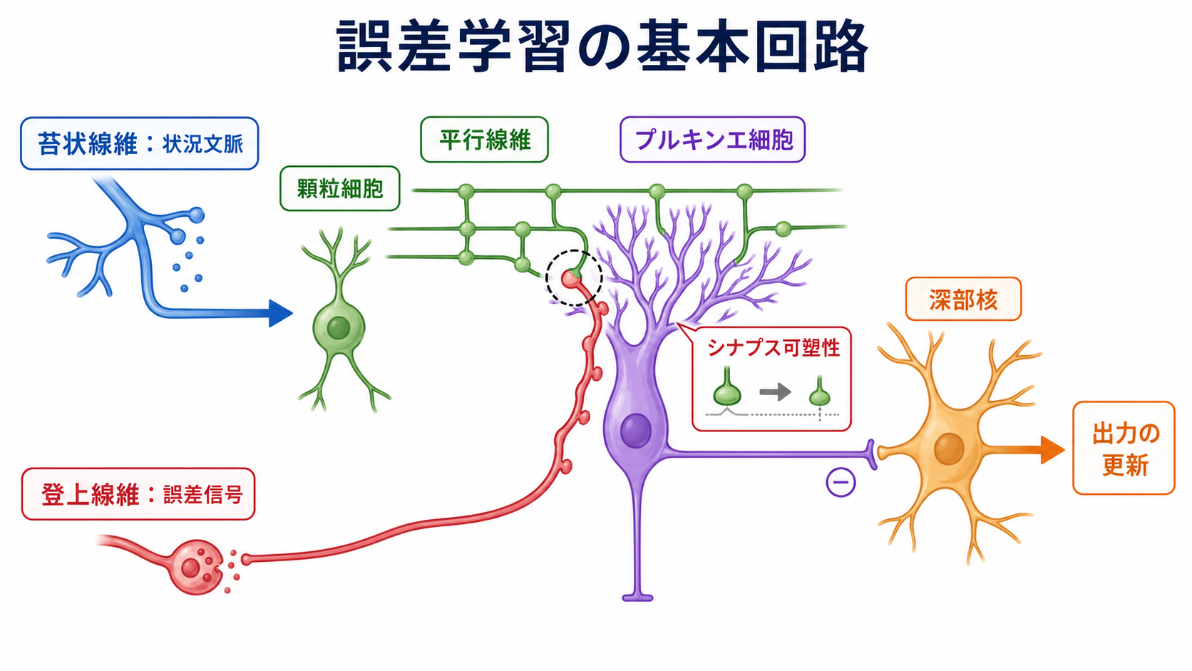 誤差学習の基本回路