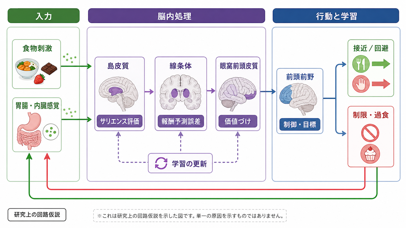強迫症における行動ゲートの偏り