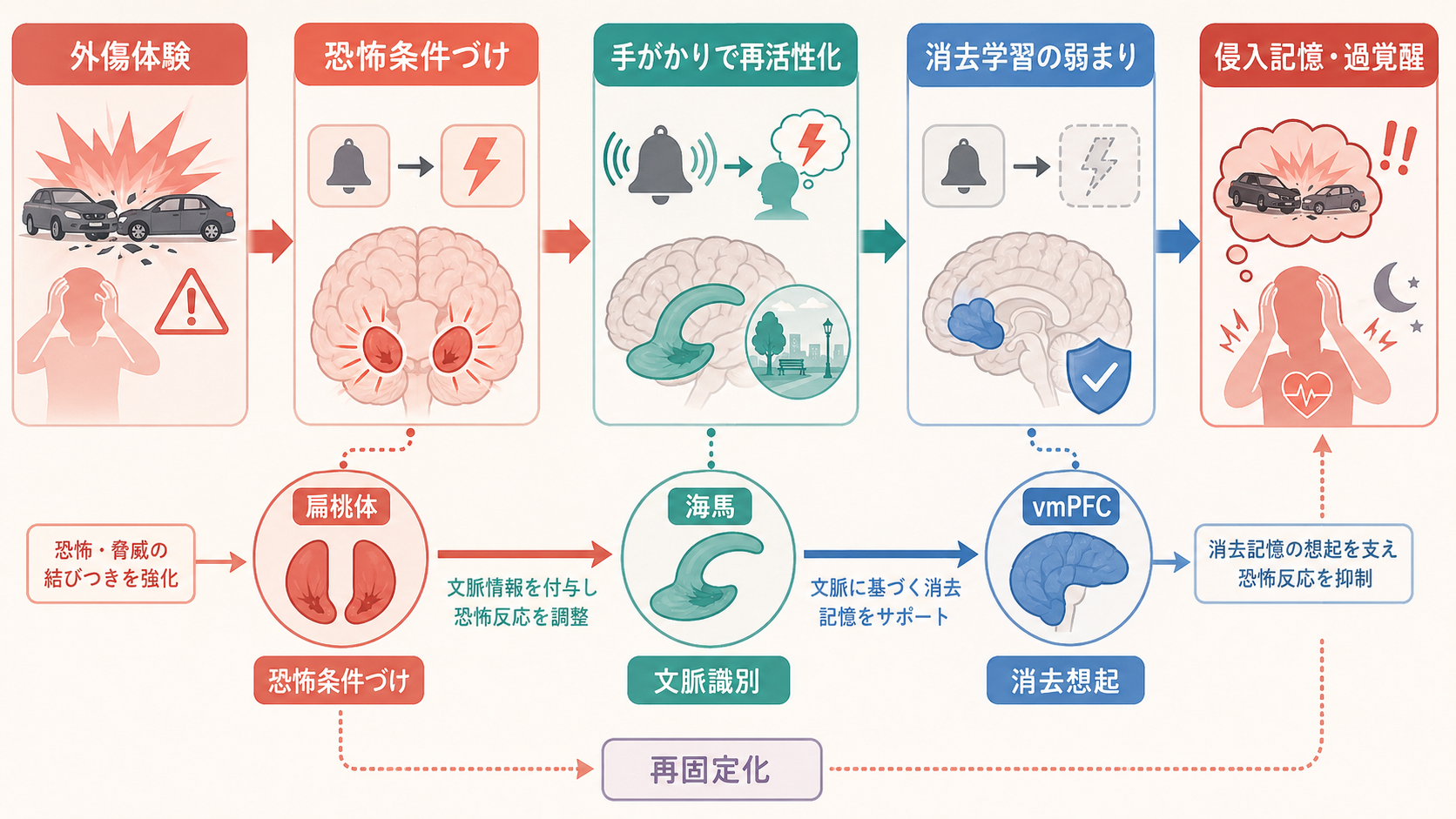 強迫症研究と臨床評価の接続