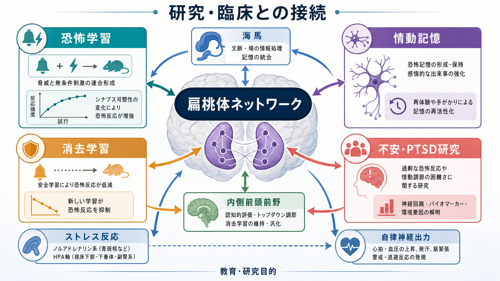 扁桃体回路の全体像