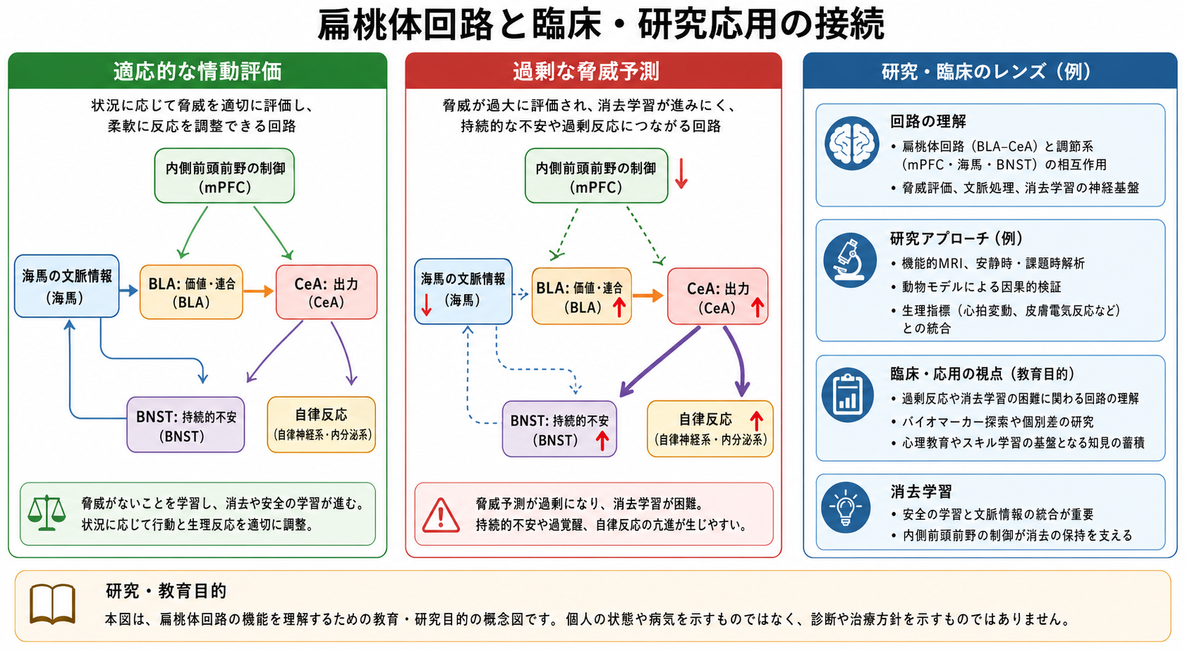 扁桃体回路と研究・臨床応用の接続