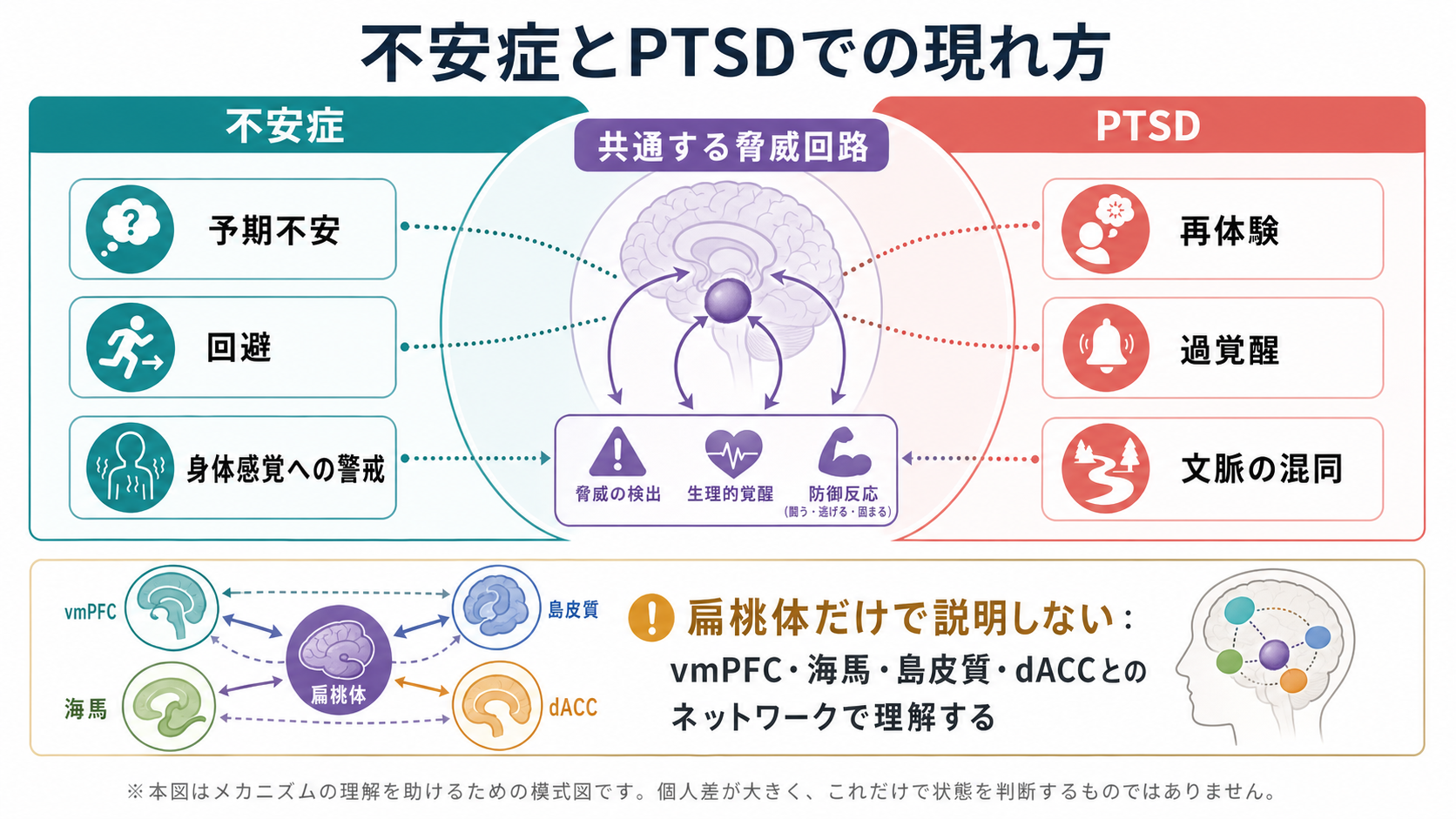 不安症とPTSDにおける扁桃体中心回路の現れ方