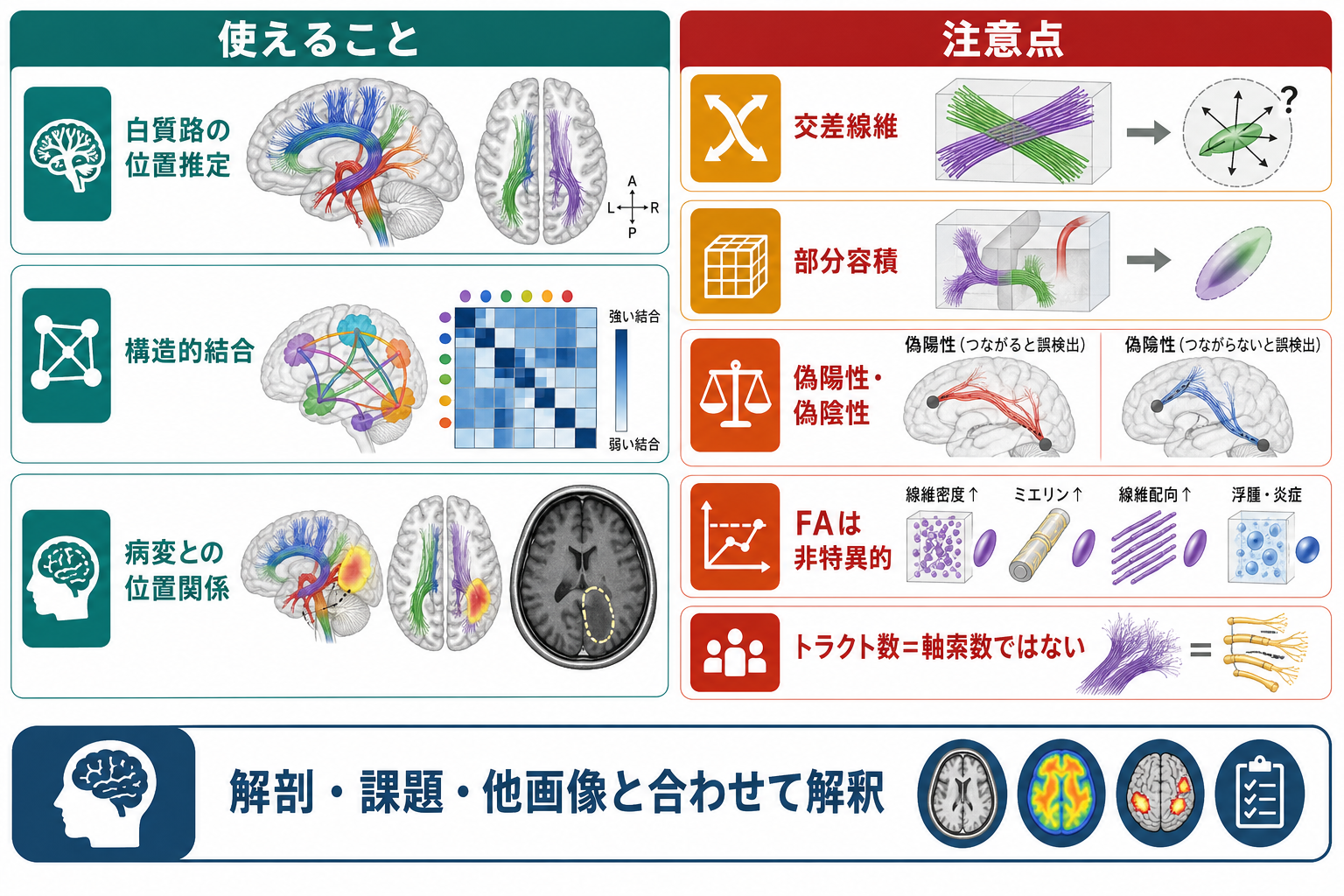 DTIの使い方と限界