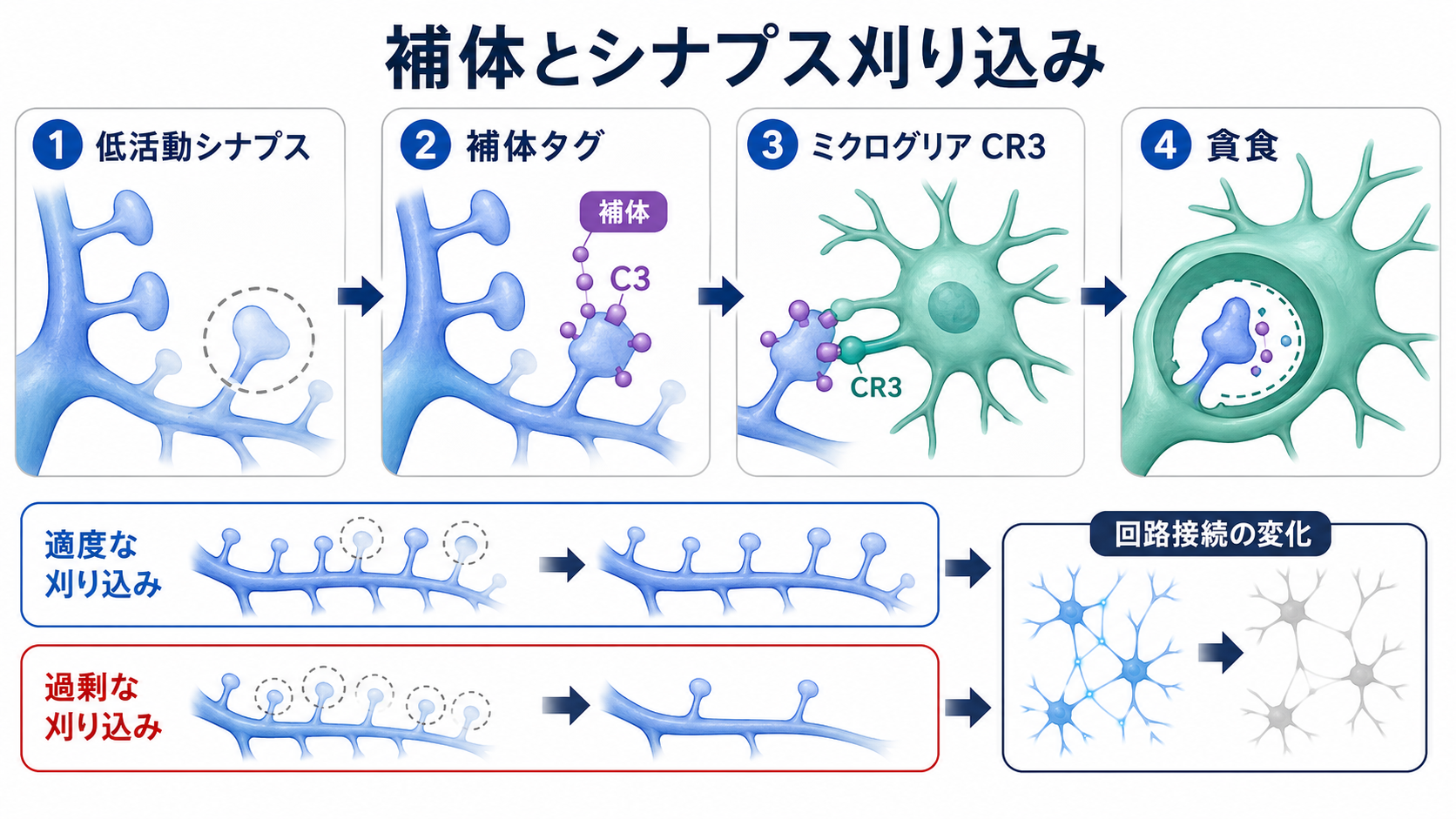 報酬予測と身体信号のループ