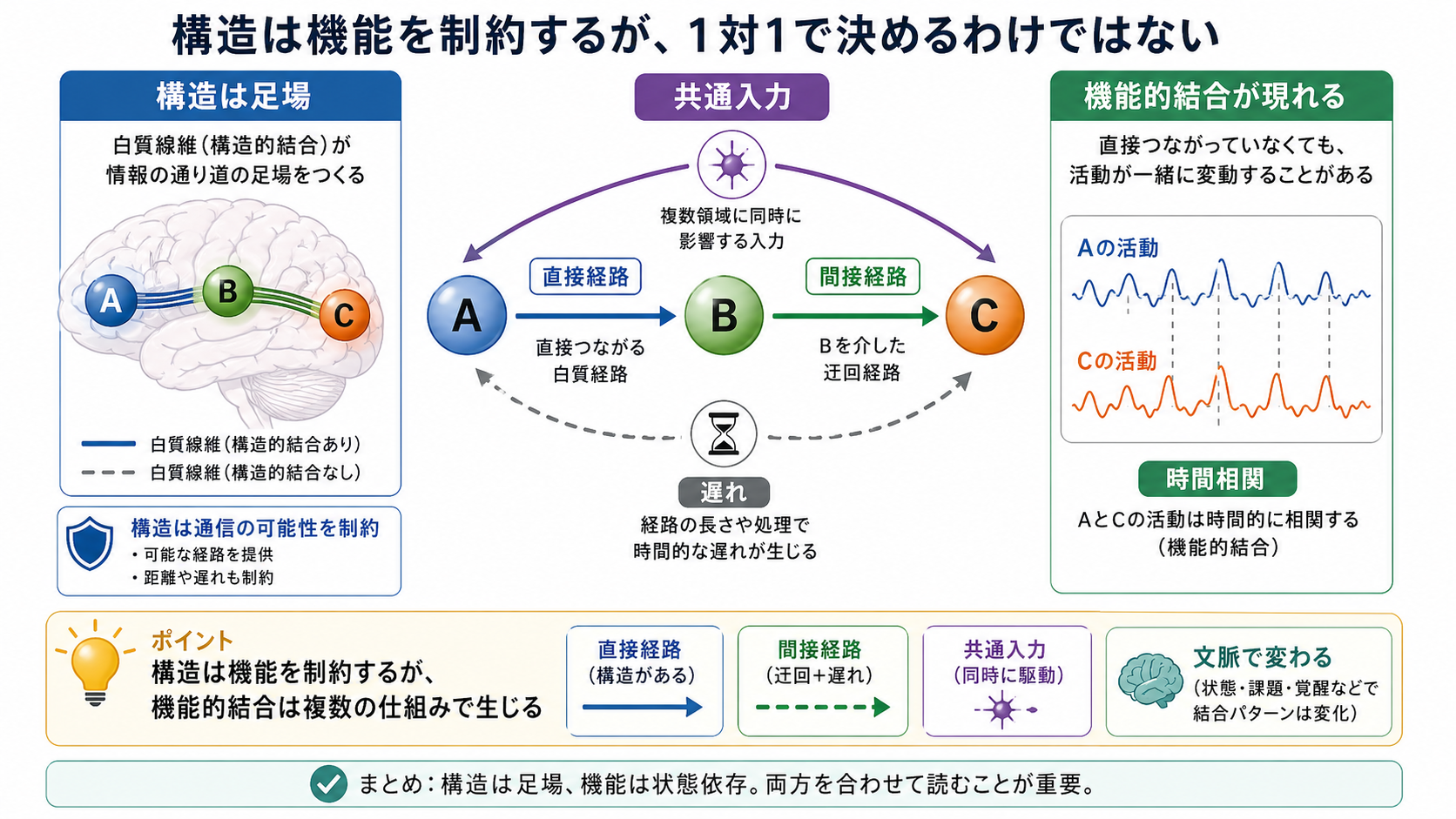 構造が機能を制約する仕組み