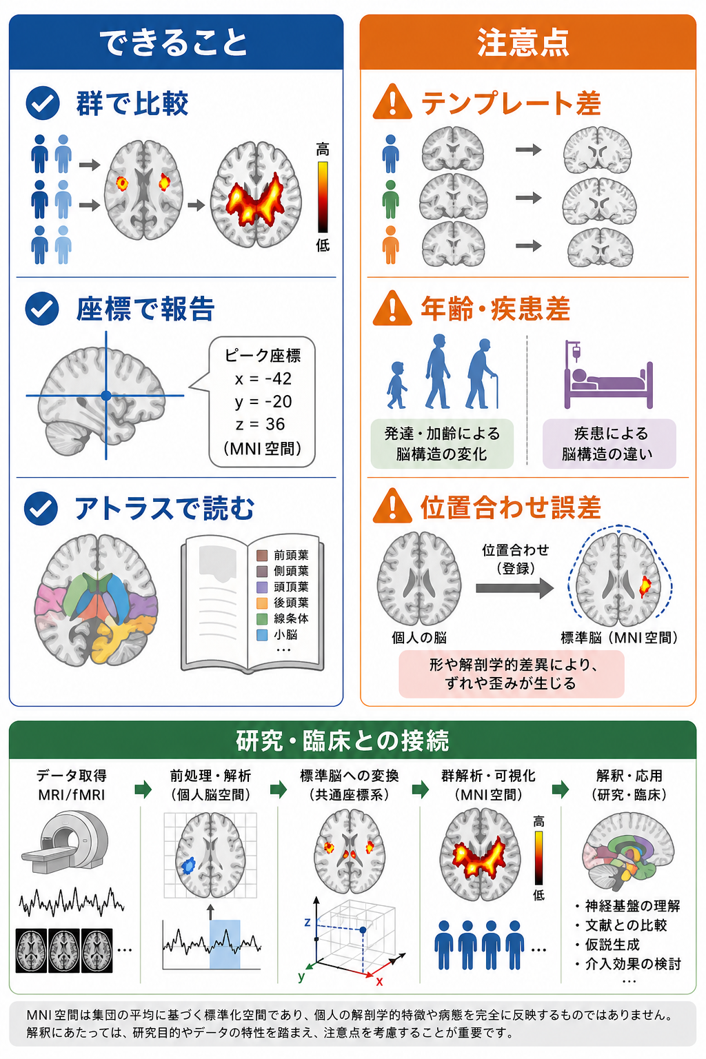 標準脳空間の利点と注意点