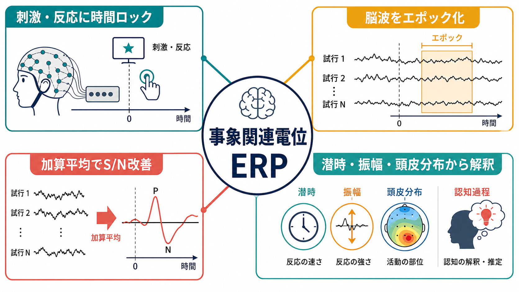 機能的結合解析の応用と注意点