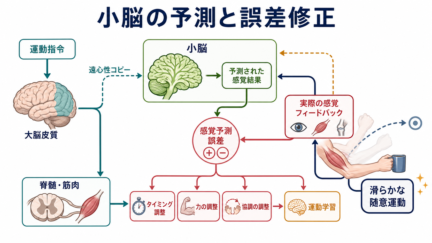 歯状回のパターン分離とCA3のパターン補完
