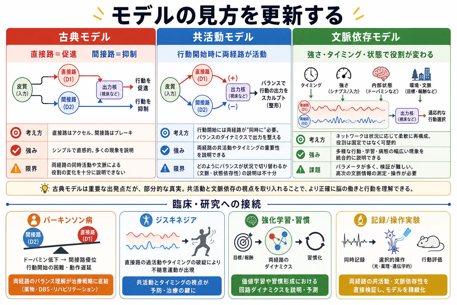 海馬回路研究と臨床応用への接続