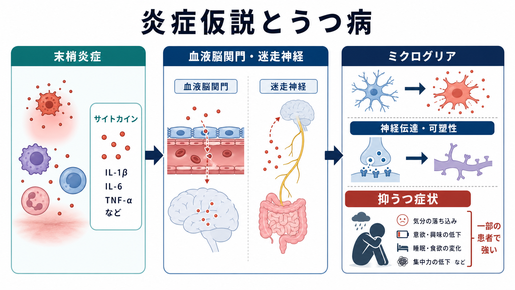 炎症仮説とうつ病の概念地図