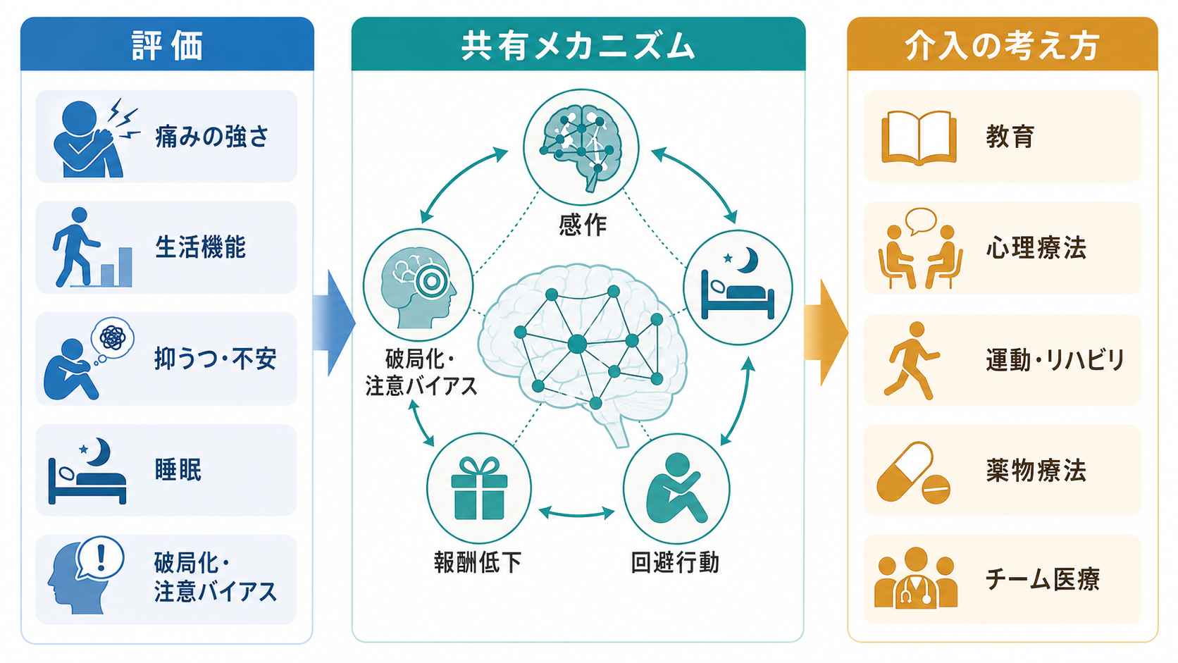 下行性疼痛調節と慢性化の回路
