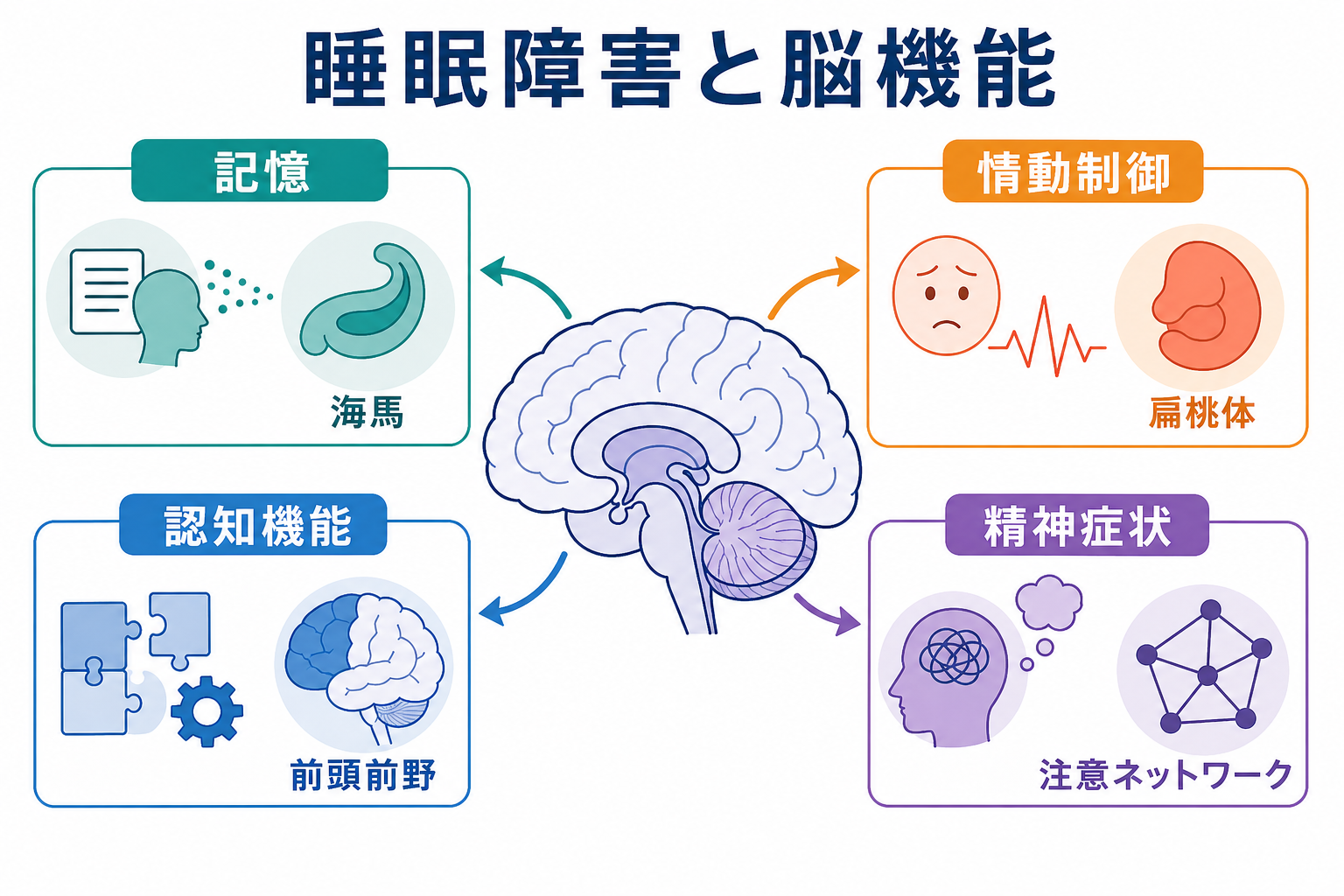 睡眠障害と脳機能の全体像