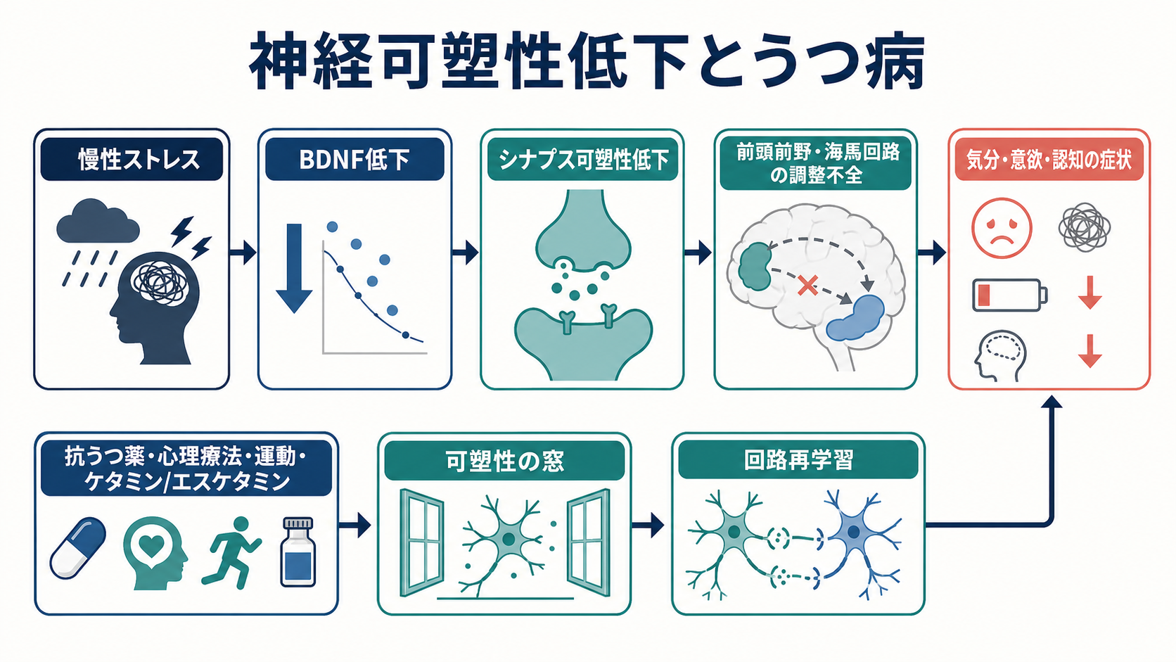 神経可塑性低下とうつ病の概念地図