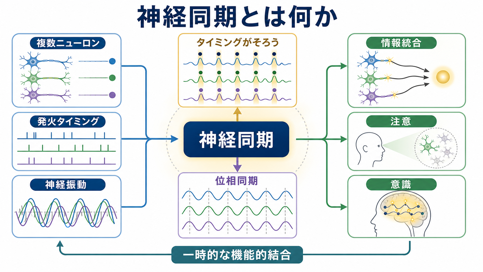 神経同期の概念地図