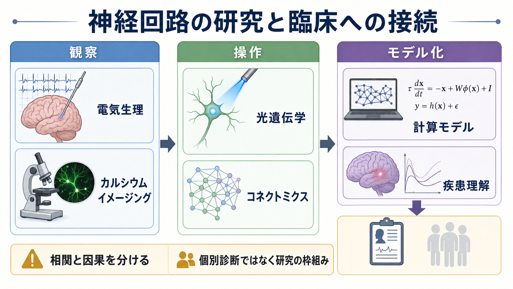 神経回路研究と臨床への接続