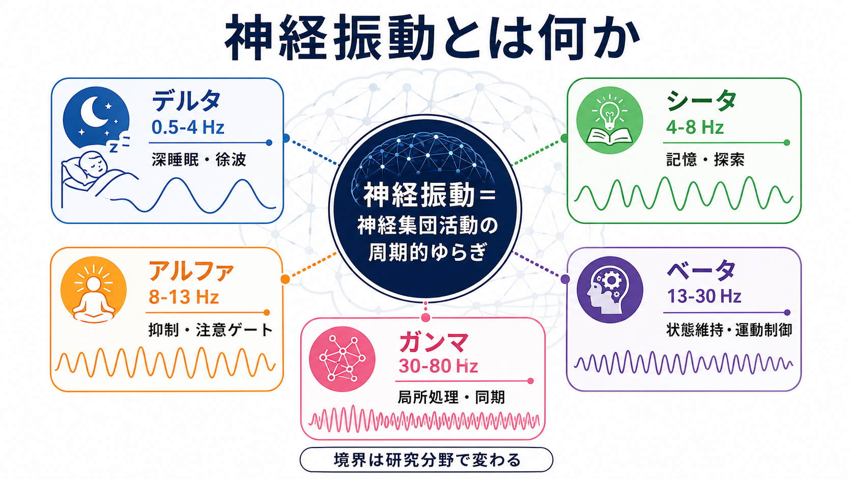 神経振動の周波数帯と機能の概念地図