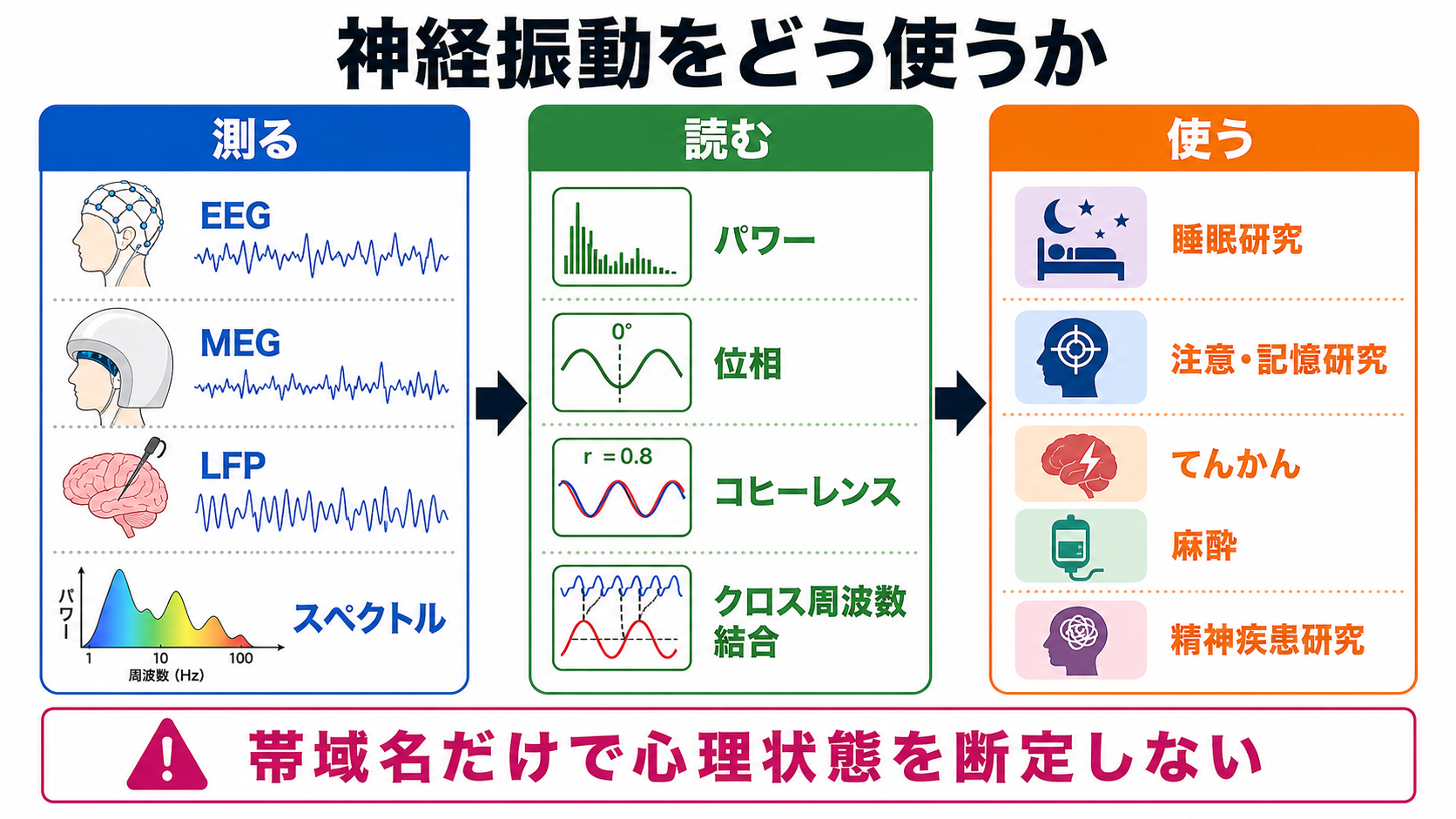 神経振動の測定・解析・応用の流れ