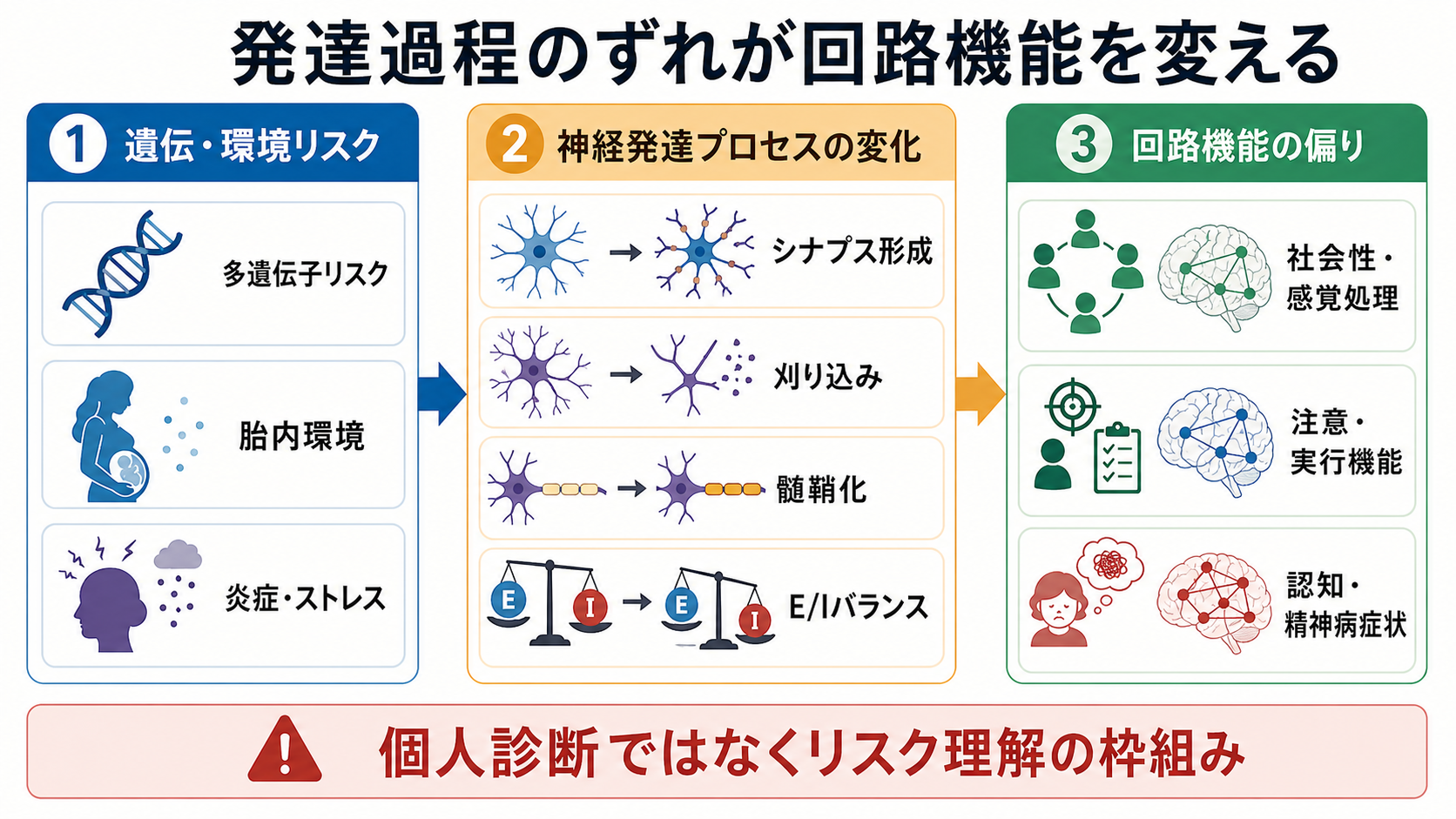 発達過程のずれが回路機能を変える機序