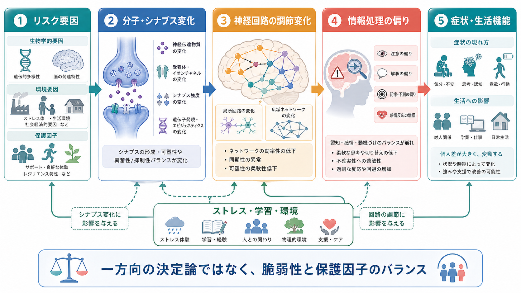 症状がリスク要因から分子・シナプス、神経回路、情報処理を経て現れる仕組み