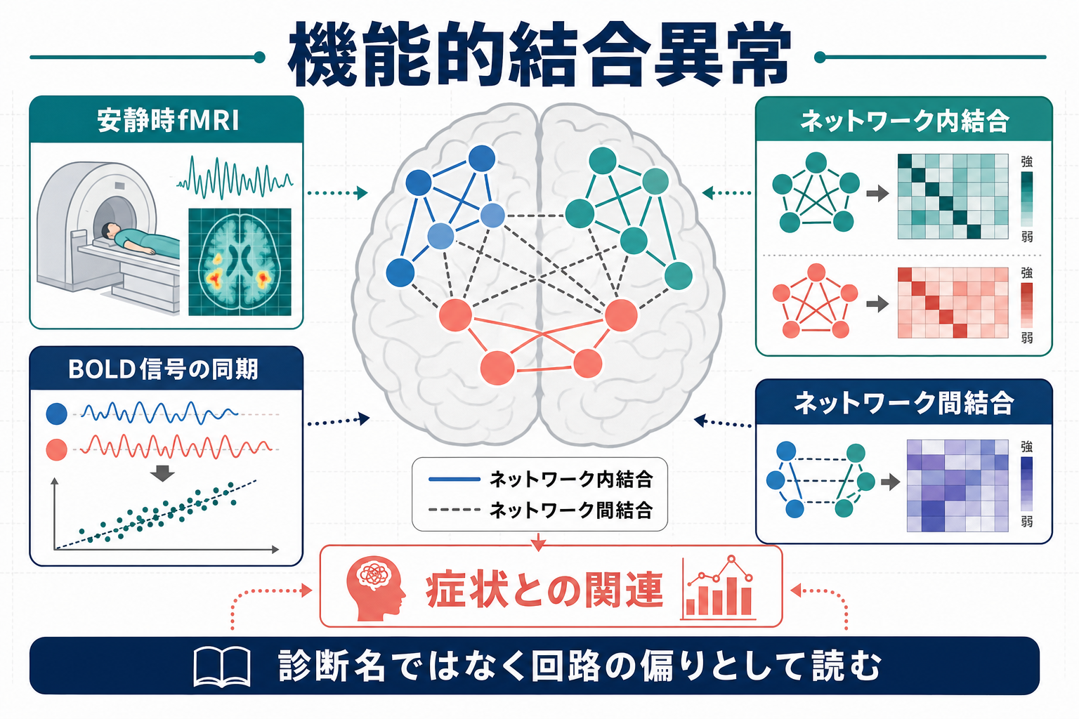 機能的結合異常の概念地図