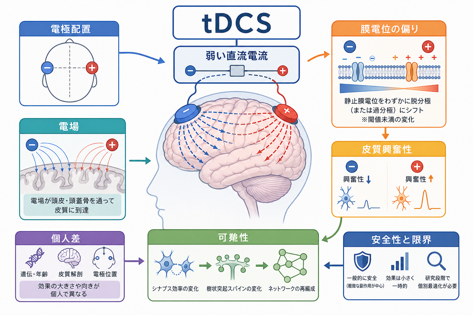 tDCSの概念地図
