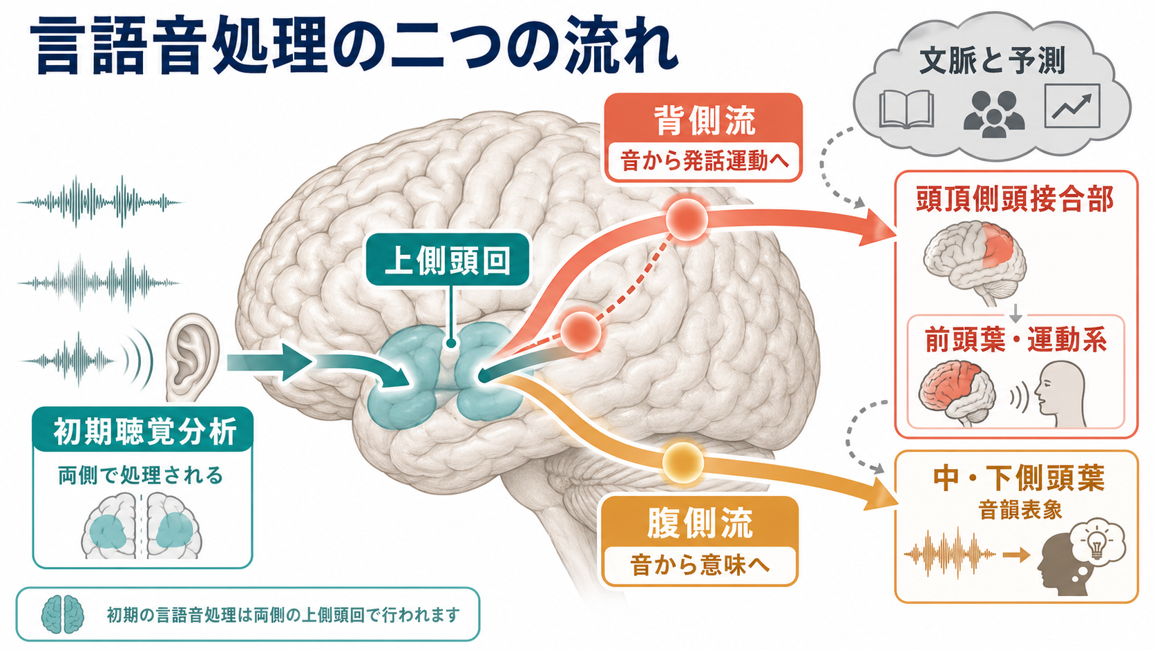 言語音処理の二つの流れ