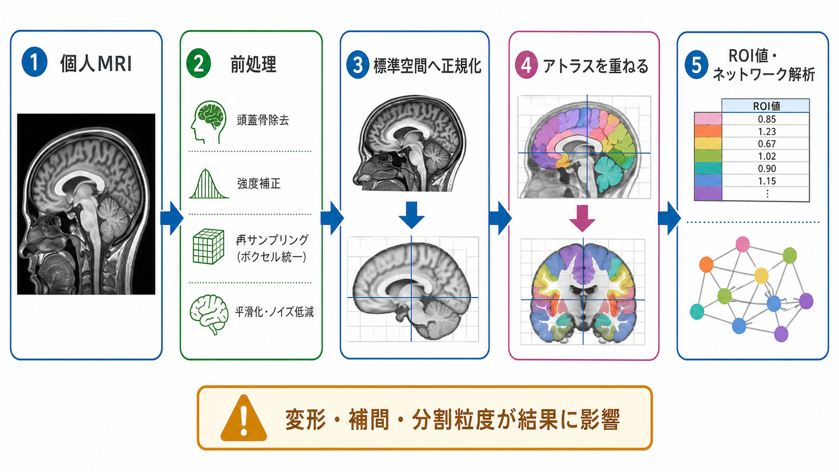 脳画像をアトラスへ対応づける流れ