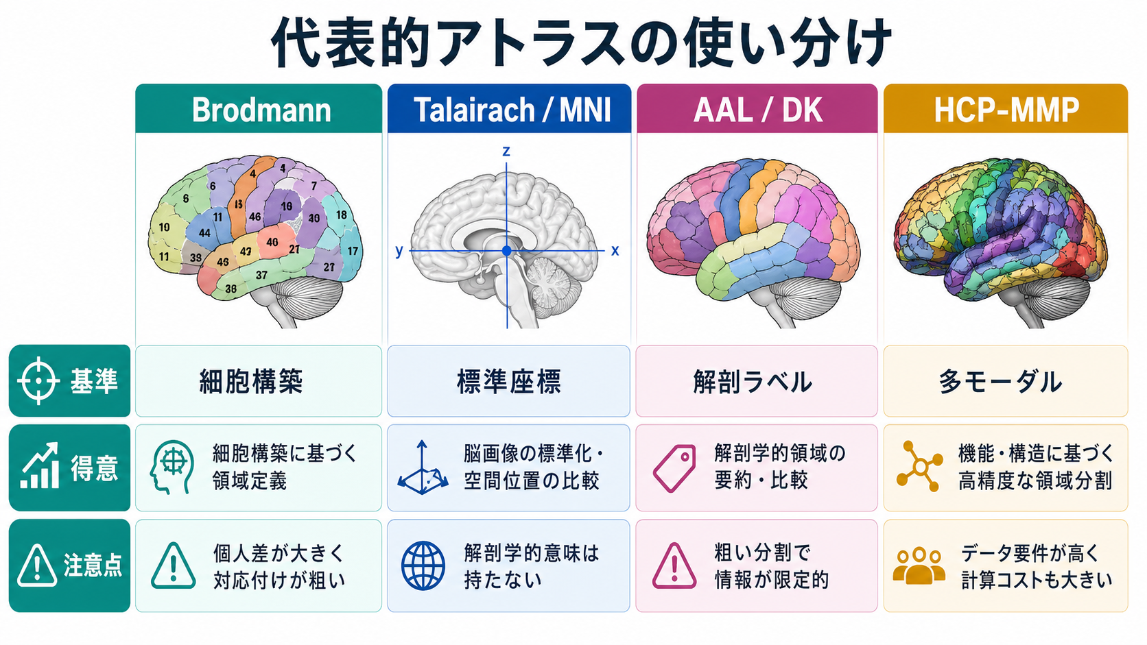代表的な脳アトラスの比較