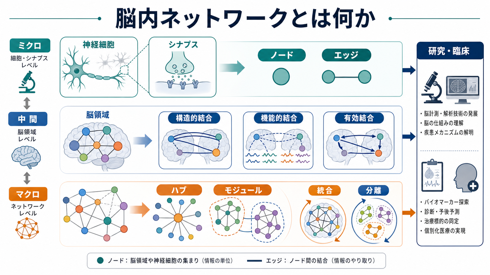 脳内ネットワークの概念地図
