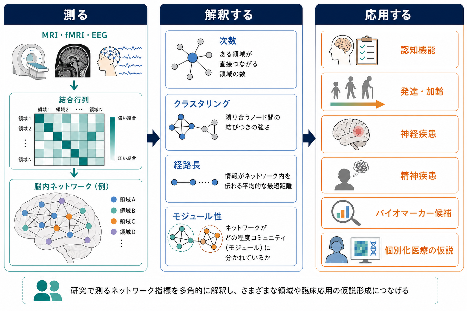 脳内ネットワーク研究と臨床応用の接続