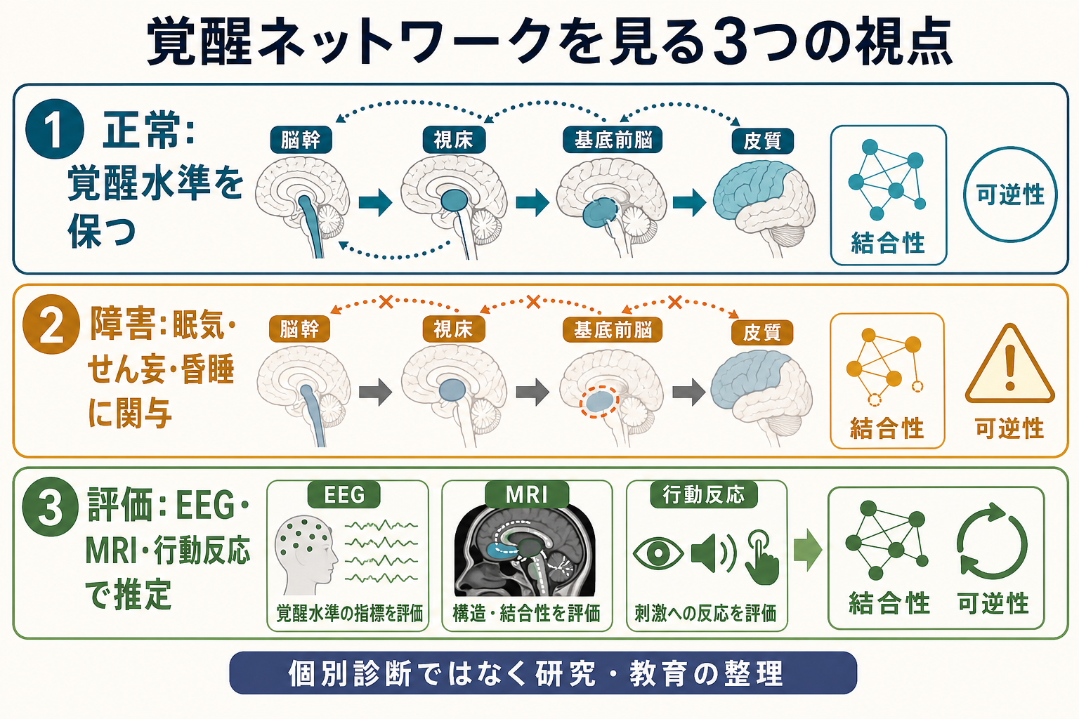覚醒ネットワークの臨床・研究視点