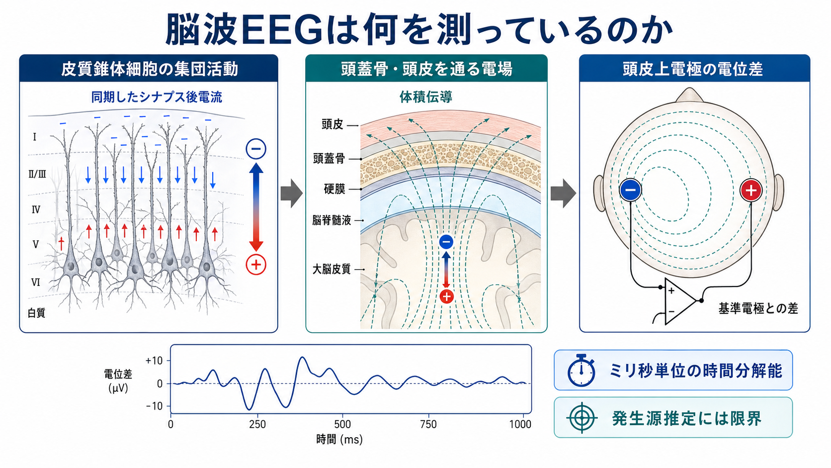 脳波EEGの全体像