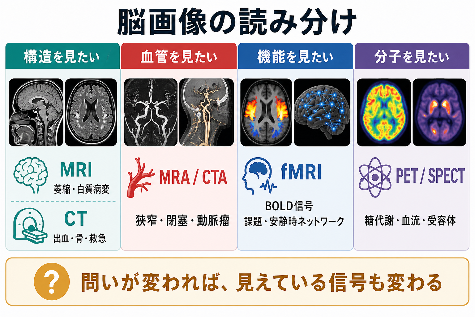 脳画像の読み分け