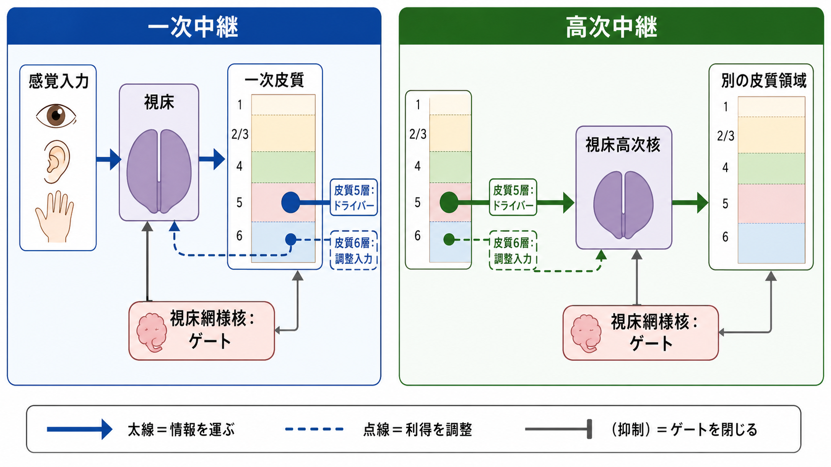 一次中継と高次中継の違い