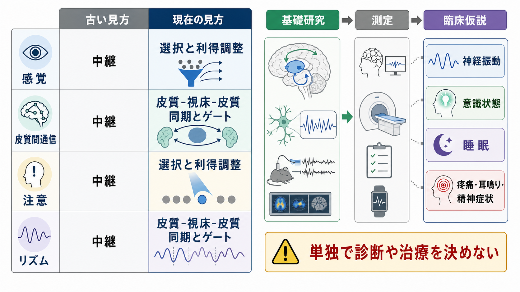 視床研究と臨床仮説への接続