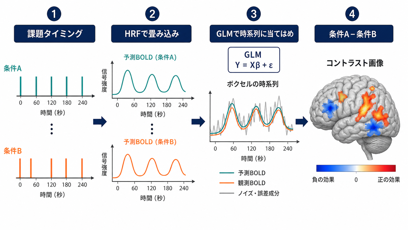 課題タイミングからGLMとコントラスト画像へ進む流れ