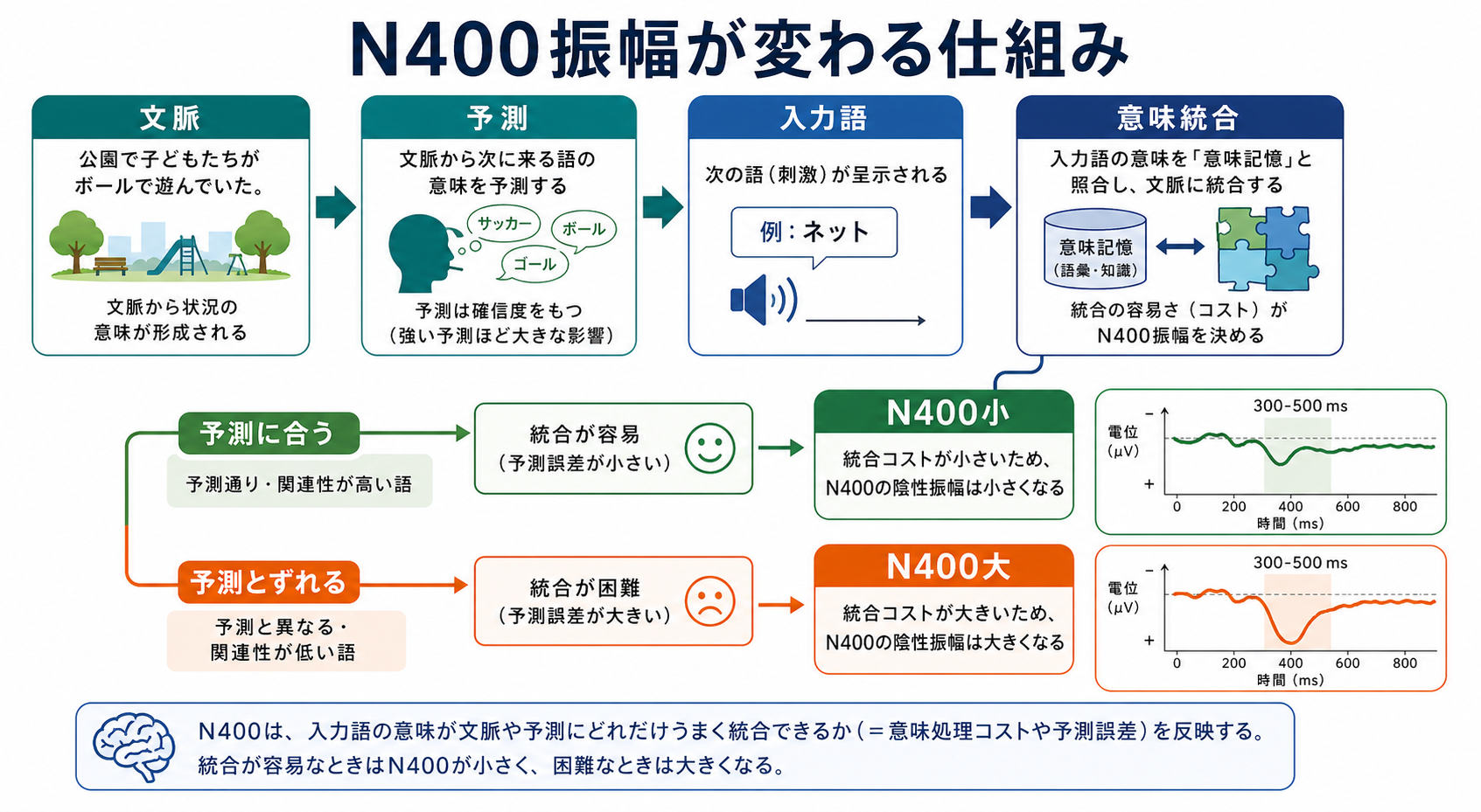 NIRSが測る対象の概念地図