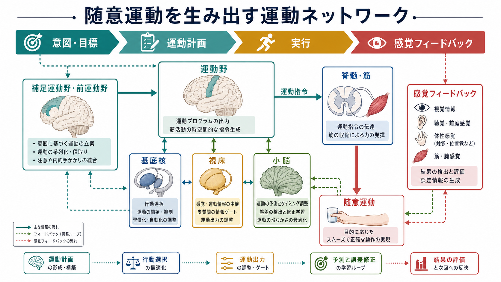 運動ネットワーク全体の概念地図