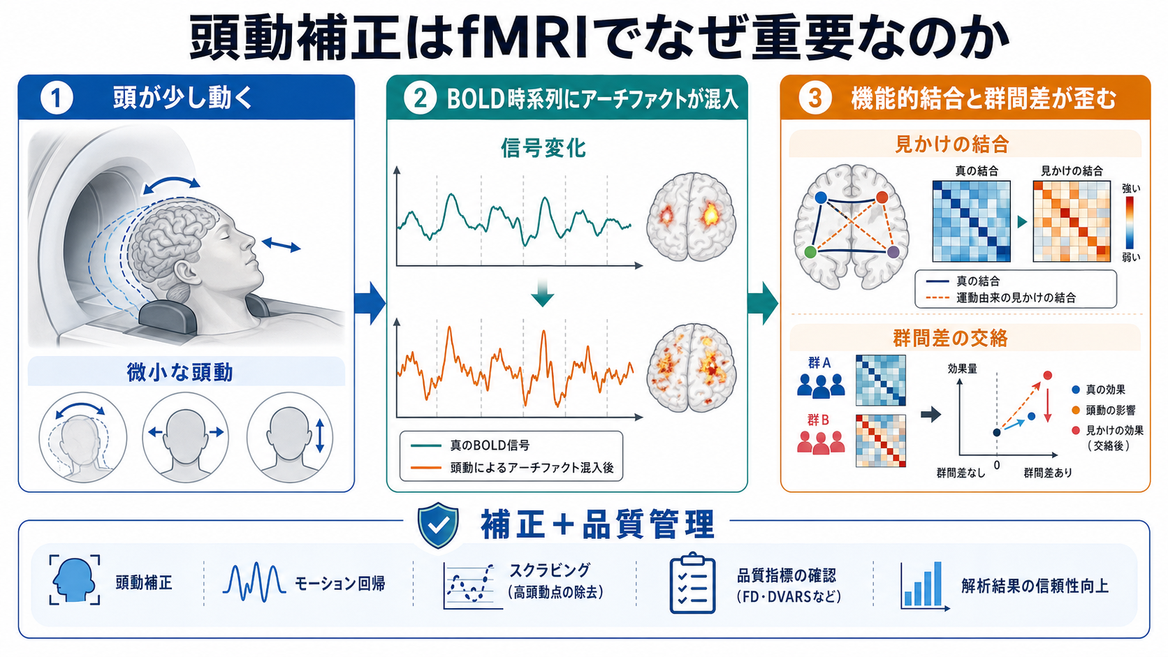 頭動がfMRI解析を歪める概念地図