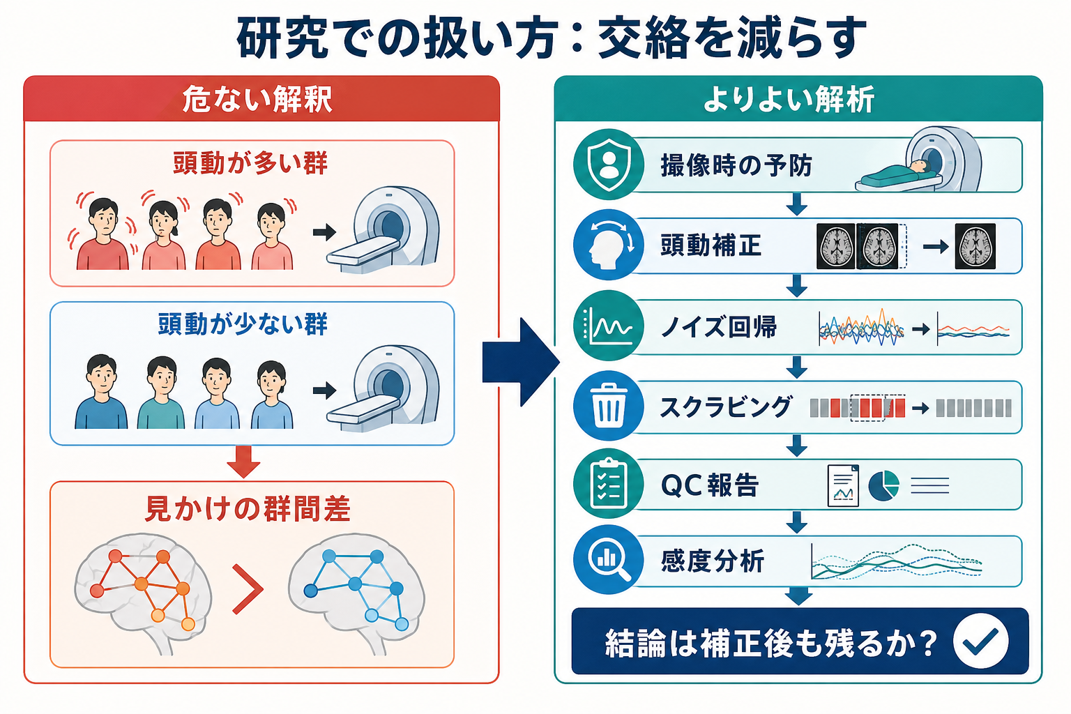 頭動交絡を減らす研究実務の流れ