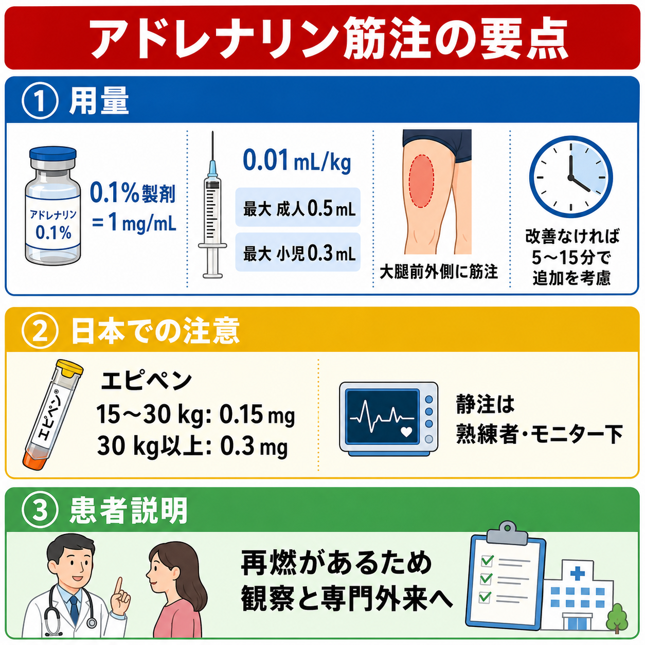 アドレナリン筋注の用量と日本での注意をまとめた図解