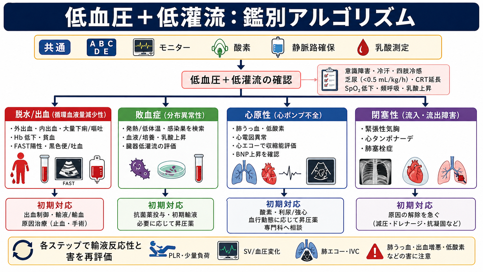 低血圧患者の輸液判断フロー