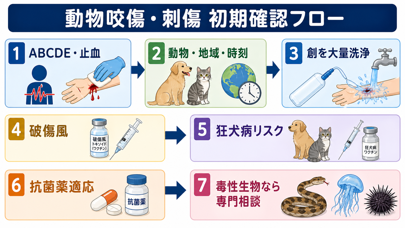 動物咬傷・刺傷の初期確認フロー